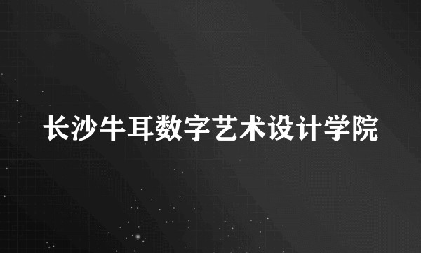 长沙牛耳数字艺术设计学院