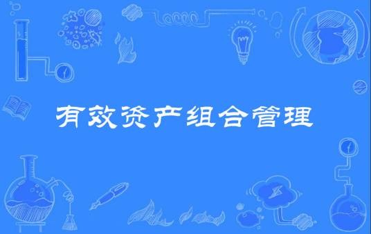 有效资产组合管理