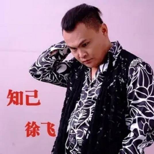 知己（2016年徐飞演唱的歌曲）