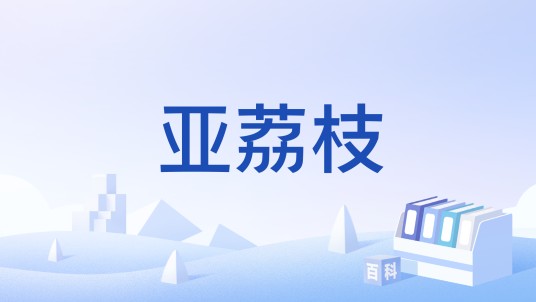 亚荔枝