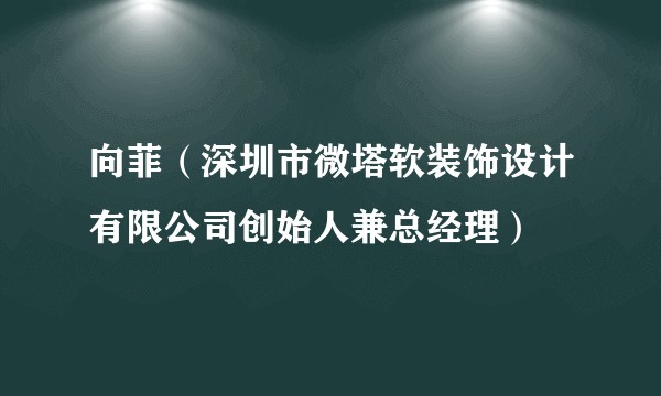 向菲（深圳市微塔软装饰设计有限公司创始人兼总经理）