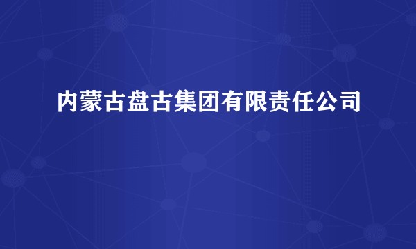 内蒙古盘古集团有限责任公司