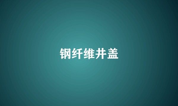 钢纤维井盖