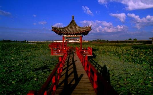 荷香园景区