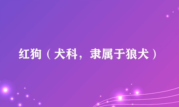 红狗（犬科，隶属于狼犬）