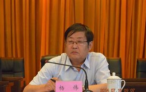 杨伟（甘肃嘉峪关市人大常委会原主任）