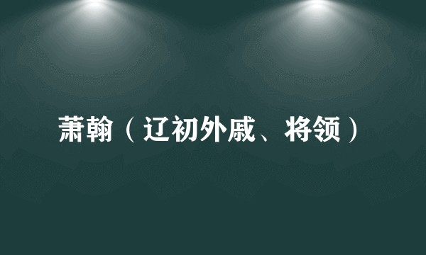 萧翰（辽初外戚、将领）
