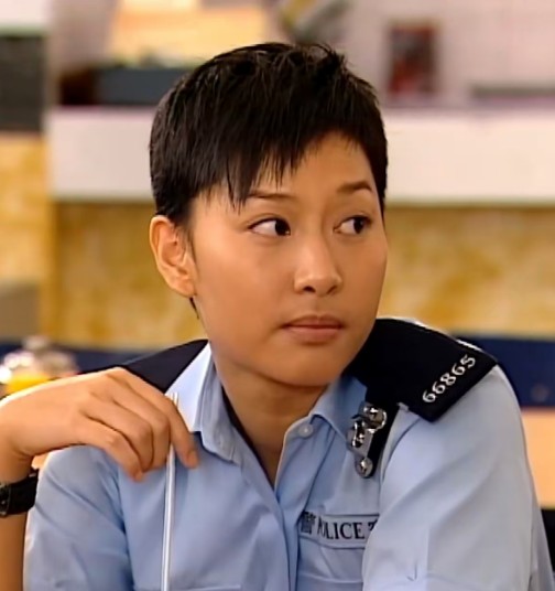 文静（电视剧《学警出更》中的人物）