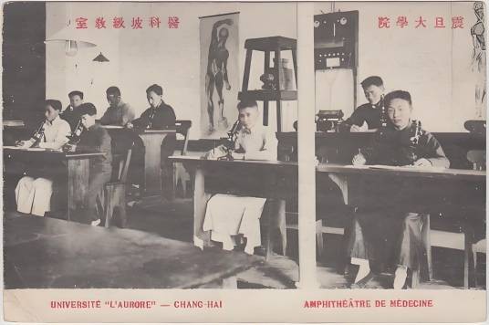 震旦大学医学院