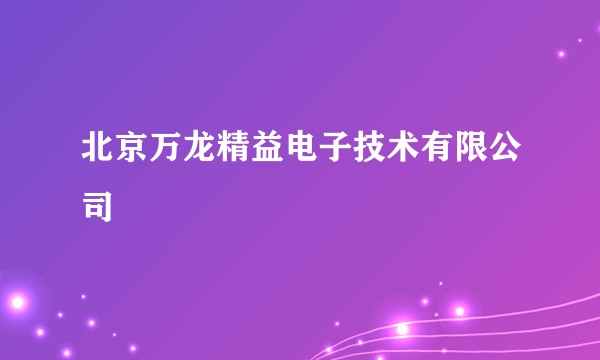 北京万龙精益电子技术有限公司