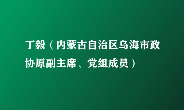 丁毅(内蒙古自治区乌海市政协原副主席、党组成员)