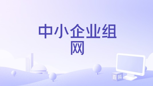 中小企业组网