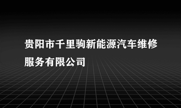贵阳市千里驹新能源汽车维修服务有限公司