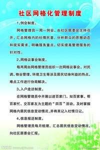 网格化管理（管理方式，行政管理改革）