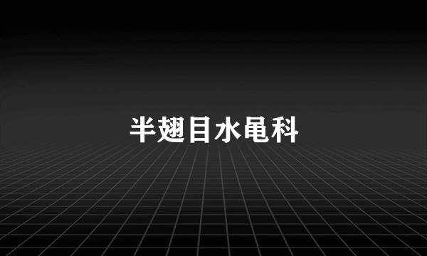 半翅目水黾科