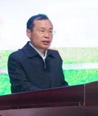黄树平（广东省汕头市濠江区委原副书记）