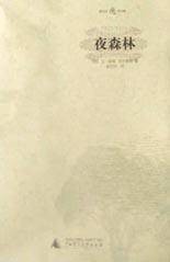夜森林（2002年广西师范大学出版社出版的图书）