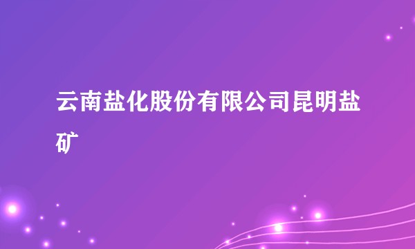云南盐化股份有限公司昆明盐矿
