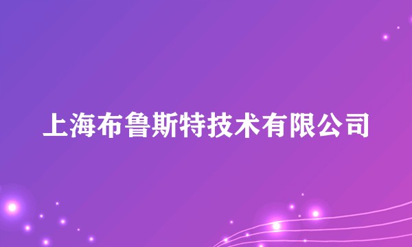 上海布鲁斯特技术有限公司