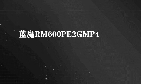 蓝魔RM600PE2GMP4