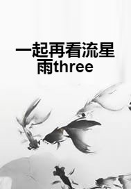 一起再看流星雨three