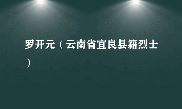 罗开元（云南省宜良县籍烈士）