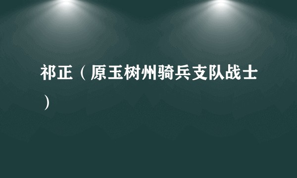 祁正（原玉树州骑兵支队战士）