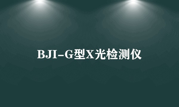 BJI-G型X光检测仪
