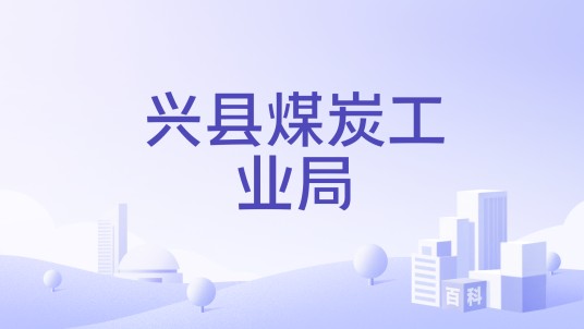 兴县煤炭工业局
