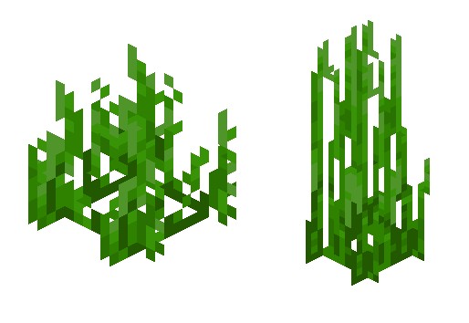 海草（Minecraft中的一种物品）