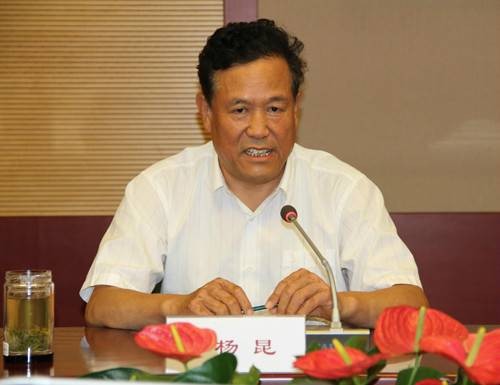 杨昆（中国电力企业联合会党委书记、常务副理事长）