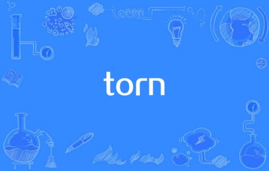 Torn（1997年澳大利亚歌手娜塔莉·安博莉亚演唱的歌曲）