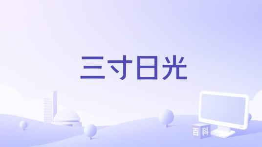 三寸日光(田庆宇执导的电影)