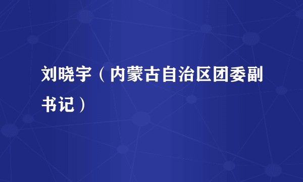 刘晓宇（内蒙古自治区团委副书记）