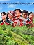 八千里路（2013年冯新民执导的中国农村题材电视剧）
