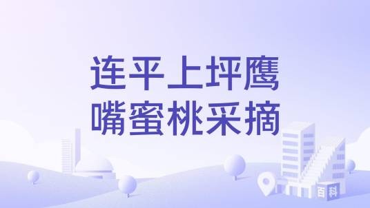 连平上坪鹰嘴蜜桃采摘