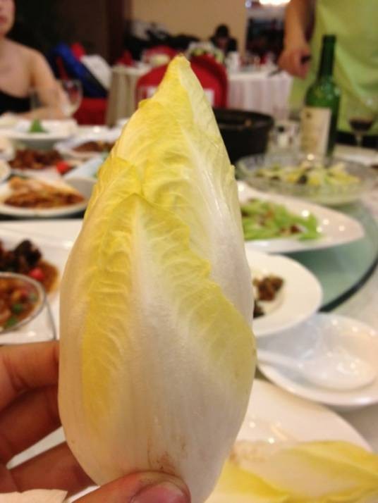 金玉兰菜