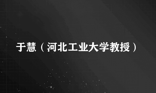 于慧（河北工业大学教授）