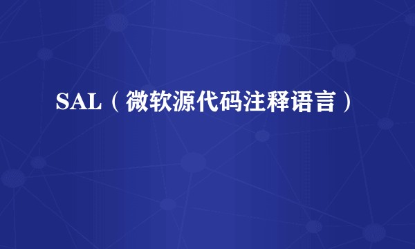 SAL（微软源代码注释语言）