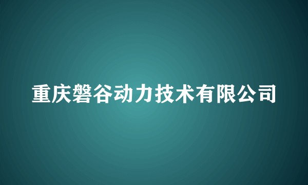 重庆磐谷动力技术有限公司