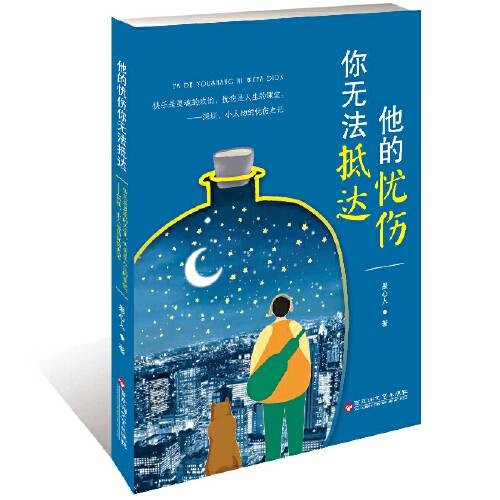 无法抵达(2020年1月百花洲文艺出版社出版的图书)