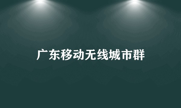 广东移动无线城市群