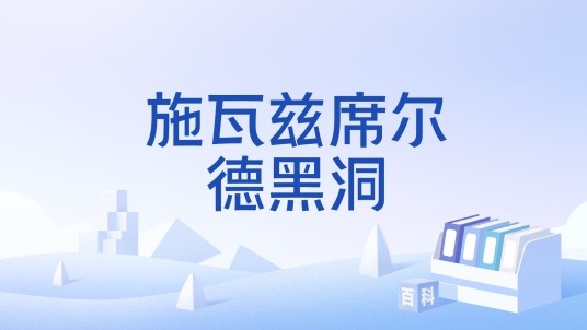 施瓦兹席尔德黑洞