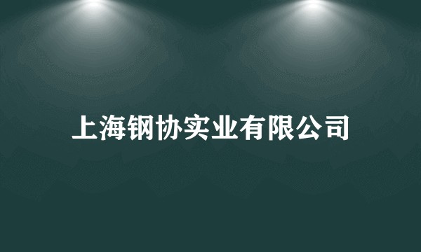 上海钢协实业有限公司