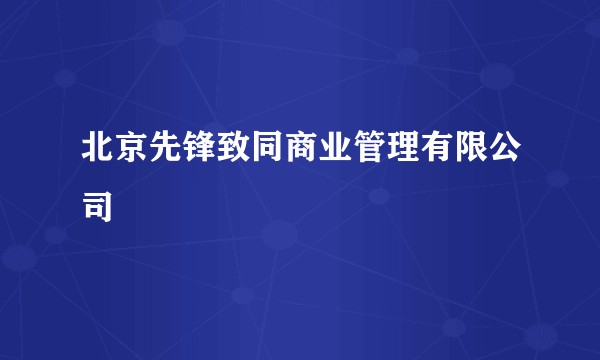 北京先锋致同商业管理有限公司