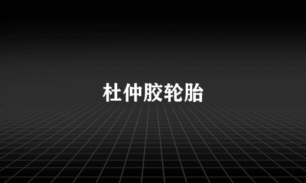 杜仲胶轮胎