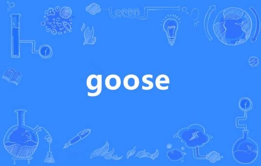 goose（英语单词）
