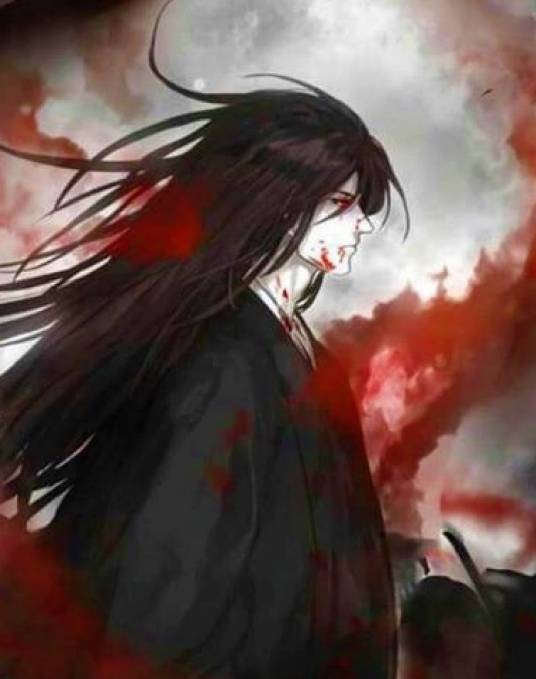 陈霖（小说《寒星冷月仇》中的男主角）