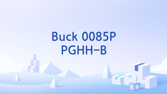Buck 0085PPGHH-B