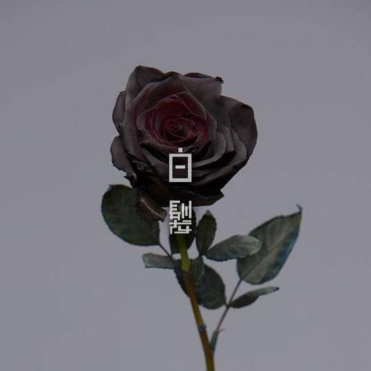 白发(2019年方大同演唱歌曲)